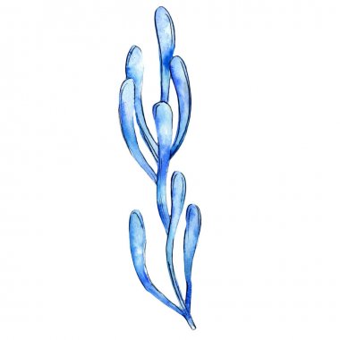 Tropikal kaktüs izole bir suluboya tarzında bırakır.