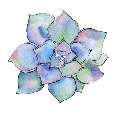 Tropikal kaktüs izole bir suluboya tarzında bırakır.