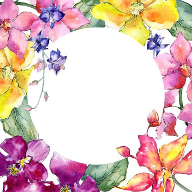 Kır çiçeği orkide çiçek çerçeve suluboya tarzında.