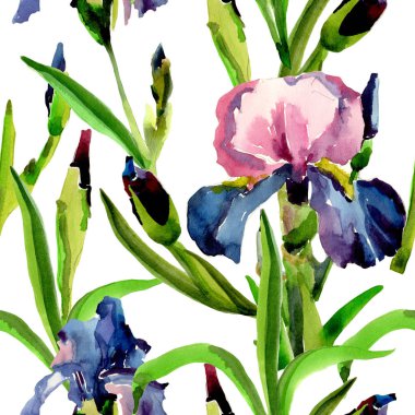 Kır çiçeği Iris çiçek deseni suluboya tarzında.