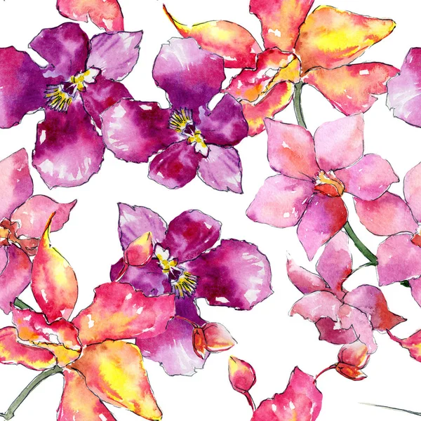 Kır çiçeği orkide çiçek deseni suluboya tarzında. — Stok fotoğraf