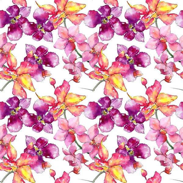 Kır çiçeği orkide çiçek deseni suluboya tarzında.