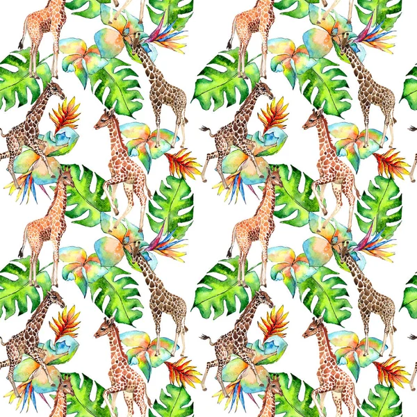 Girafe exotique motif animal sauvage dans un style aquarelle . — Photo