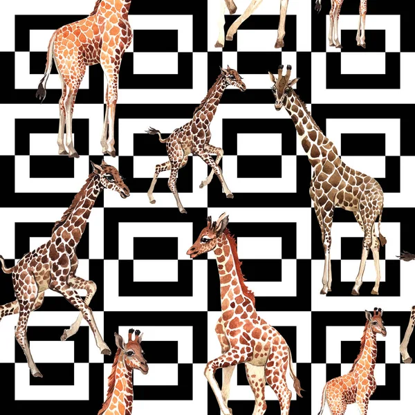 Egzotikus zsiráf vadon élő állatok minta akvarell stílusú. — Stock Fotó
