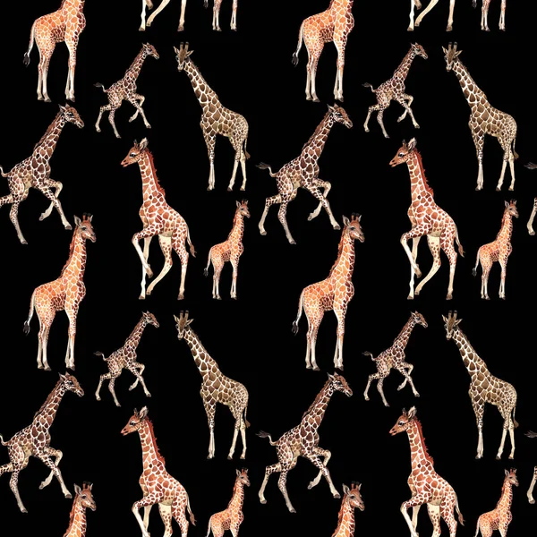 Egzotik zürafa vahşi hayvan desen suluboya tarzında.