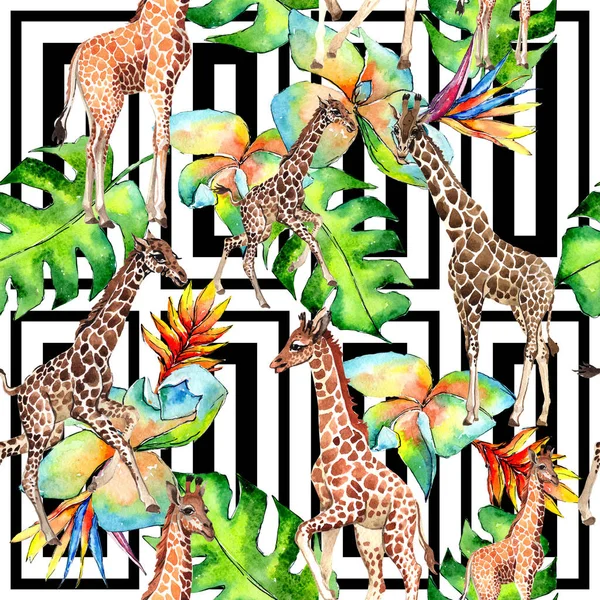 Girafe exotique motif animal sauvage dans un style aquarelle . — Photo