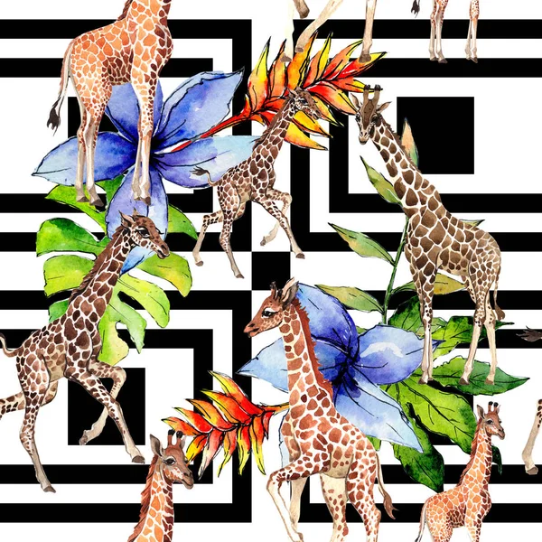 Girafe exotique motif animal sauvage dans un style aquarelle . — Photo