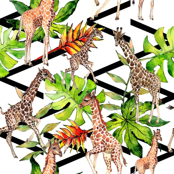 Girafe exotique motif animal sauvage dans un style aquarelle . — Photo