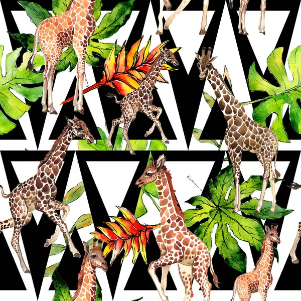 Girafe exotique motif animal sauvage dans un style aquarelle . — Photo