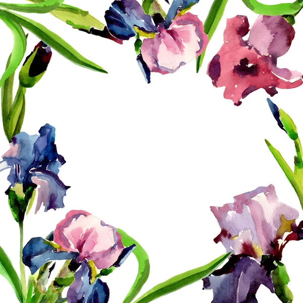 Wildflower iris květiny rámec ve stylu akvarelu. — Stock fotografie