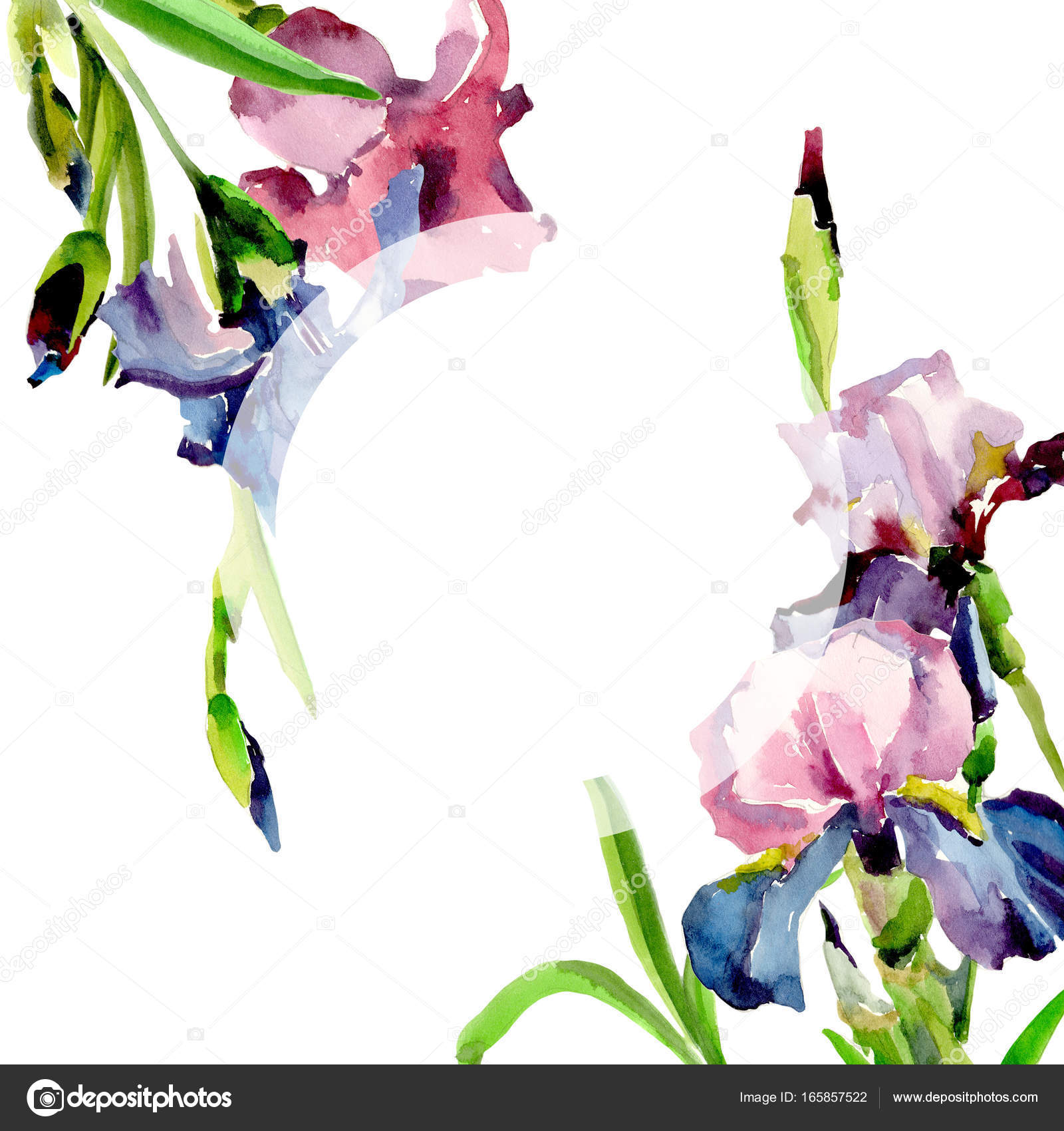 美しい花の画像 新鮮な花 フレーム 水彩