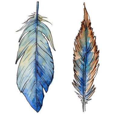Suluboya kuş tüyü izole kanat üzerinden.