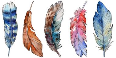 Suluboya kuş tüyü izole kanat üzerinden.