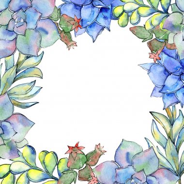 Tropikal kaktüs çerçeve bir suluboya tarzında bırakır..