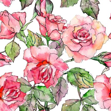 Kır çiçeği gül çiçek deseni suluboya tarzında.