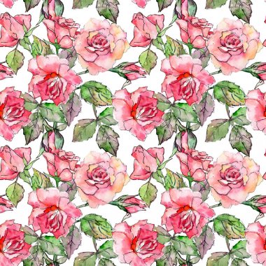 Kır çiçeği gül çiçek deseni suluboya tarzında.