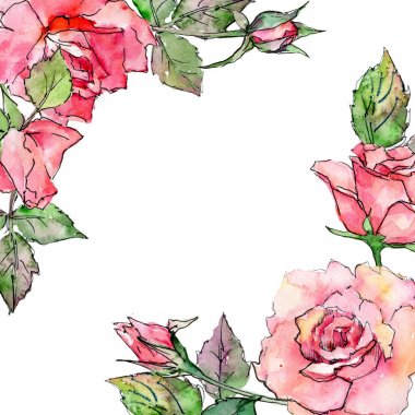 Kır çiçeği gül çiçek çerçeve suluboya tarzında.