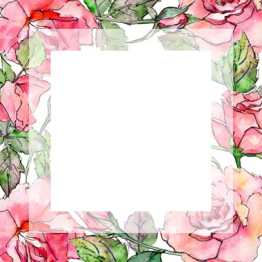 Kır çiçeği gül çiçek çerçeve suluboya tarzında.