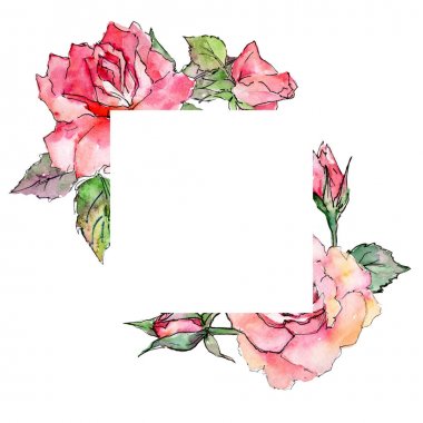 Kır çiçeği gül çiçek çerçeve suluboya tarzında.