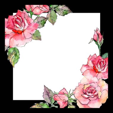 Kır çiçeği gül çiçek çerçeve suluboya tarzında.