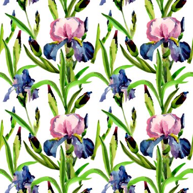 Kır çiçeği Iris çiçek deseni suluboya tarzında.