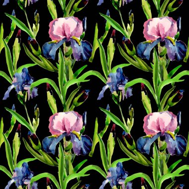 Kır çiçeği Iris çiçek deseni suluboya tarzında.
