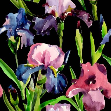 Kır çiçeği Iris çiçek deseni suluboya tarzında.