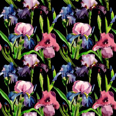 Kır çiçeği Iris çiçek deseni suluboya tarzında.