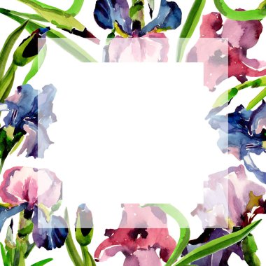 Kır çiçeği Iris çiçek çerçeve suluboya tarzında.