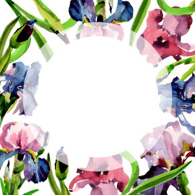 Kır çiçeği Iris çiçek çerçeve suluboya tarzında.