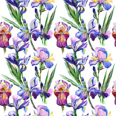 Kır çiçeği Iris çiçek deseni suluboya tarzında.