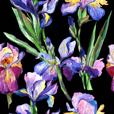 Kır çiçeği Iris çiçek deseni suluboya tarzında.