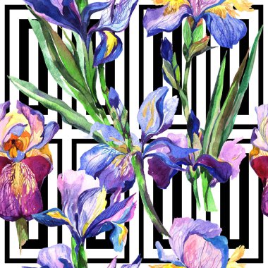Kır çiçeği Iris çiçek deseni suluboya tarzında.