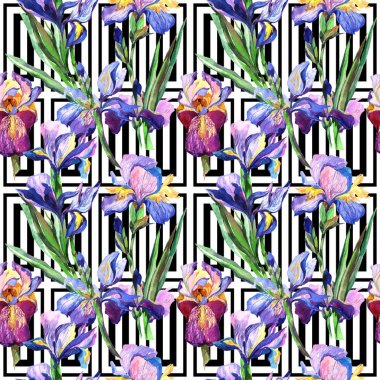 Wildflower iris flower pattern in a watercolor style. clipart