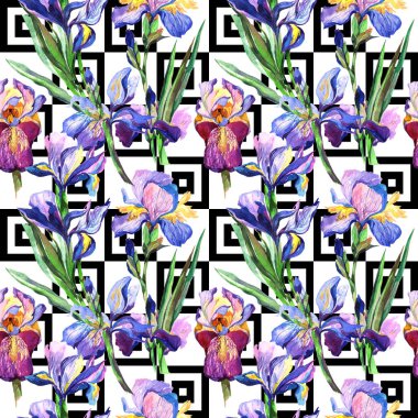 Kır çiçeği Iris çiçek deseni suluboya tarzında.