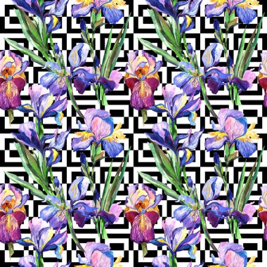 Kır çiçeği Iris çiçek deseni suluboya tarzında.