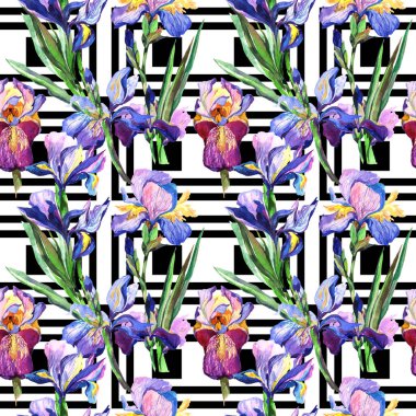 Kır çiçeği Iris çiçek deseni suluboya tarzında.