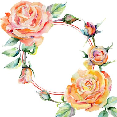 Kır çiçeği gül çiçek çerçeve suluboya tarzında.