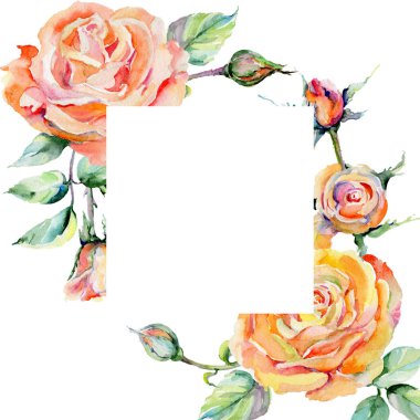 Kır çiçeği gül çiçek çerçeve suluboya tarzında.