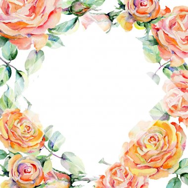 Kır çiçeği gül çiçek çerçeve suluboya tarzında.