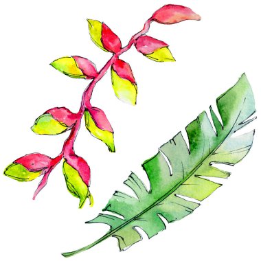 Tropikal Hawaii izole bir suluboya tarzında bırakır.