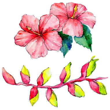 Tropikal Hawaii izole bir suluboya tarzında bırakır.