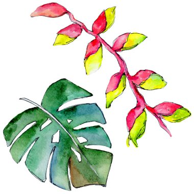 Tropikal Hawaii izole bir suluboya tarzında bırakır.