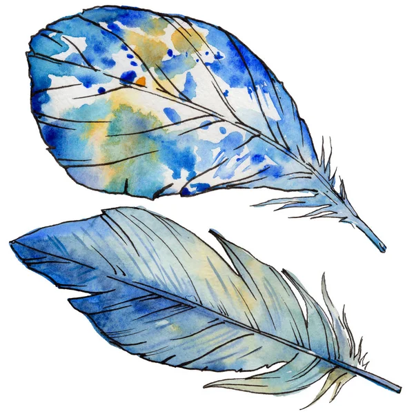 Suluboya kuş tüyü izole kanat üzerinden.
