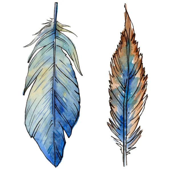 Watercolor bird feather from wing isolated. — Stock Photo, Image