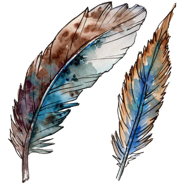 Watercolor bird feather from wing isolated. — Stock Photo, Image