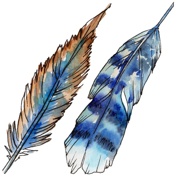 Akvarelu ptačí pírko z křídla, samostatný. — Stock fotografie