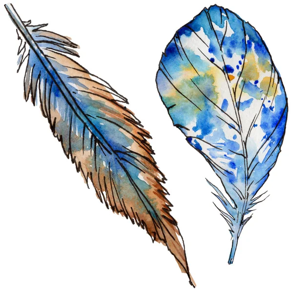 Suluboya kuş tüyü izole kanat üzerinden.