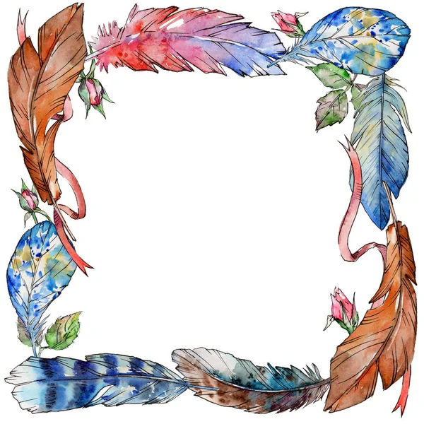 Suluboya kuş kanat tüy çerçevesinden.