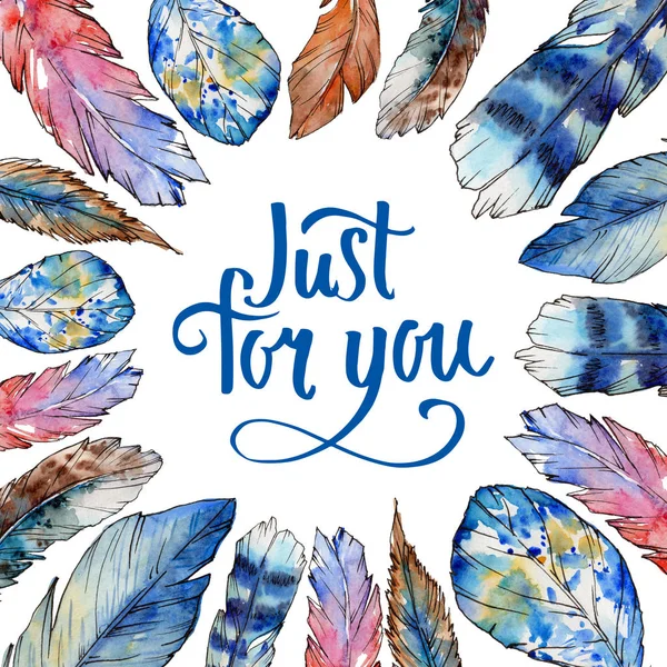 Suluboya kuş kanat tüy çerçevesinden.